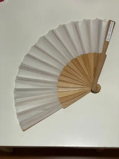 Folding hand fan
